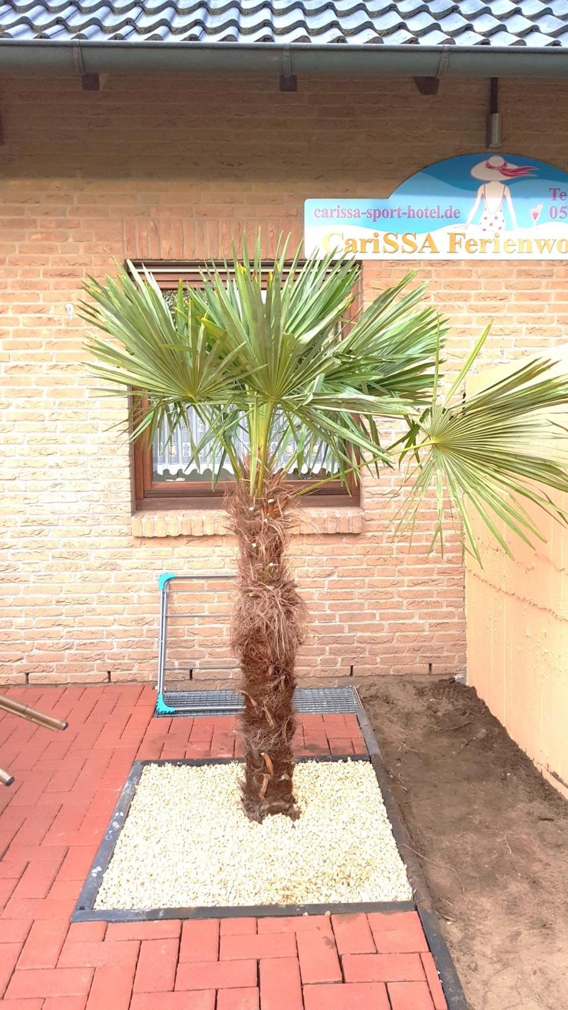 Carissa Ferienwohnung - Mit Thermeplus Bad Bevensen Exteriör bild